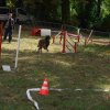 foire-haricots 2011-09-17et18